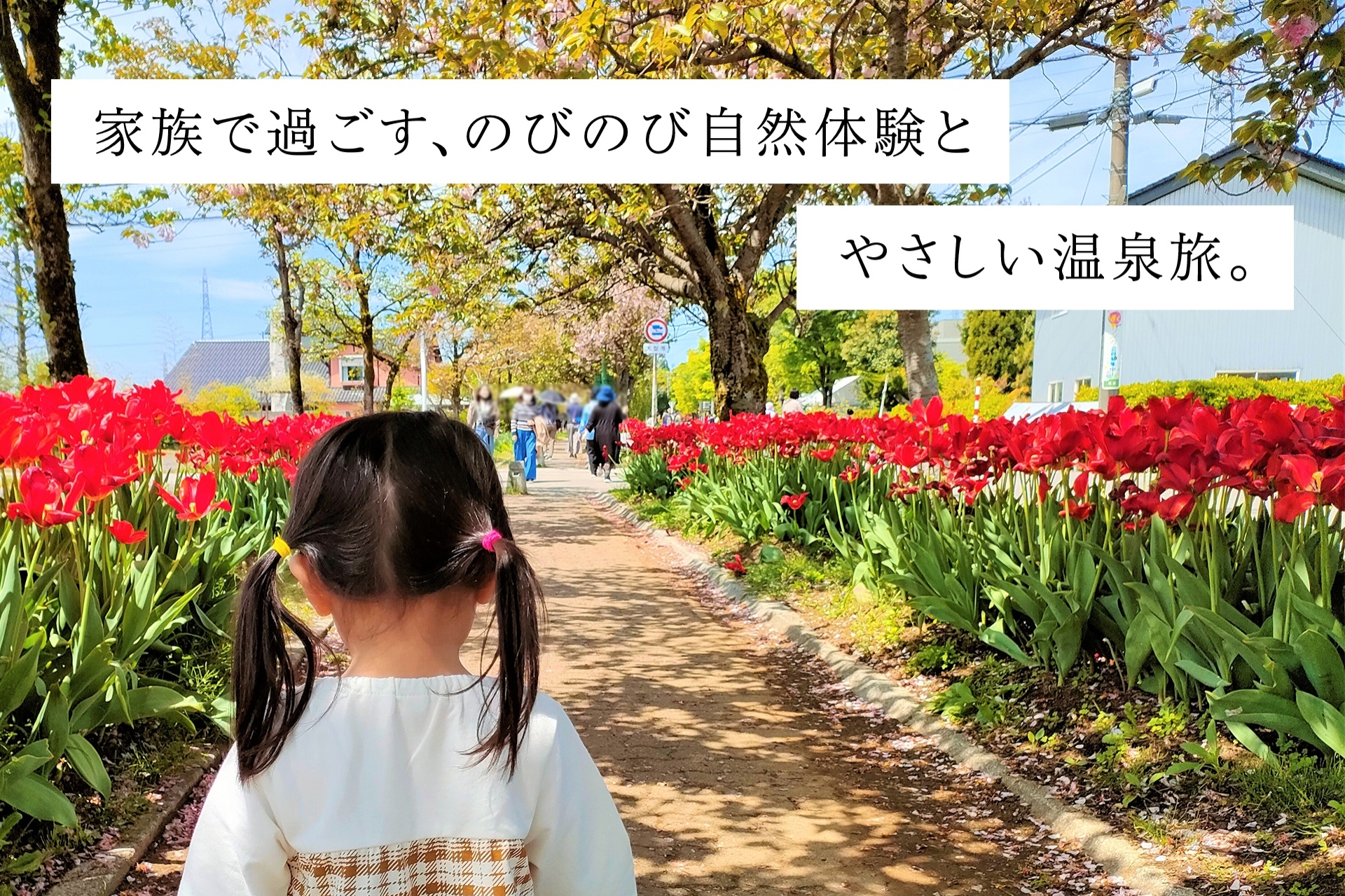 庄川温泉郷