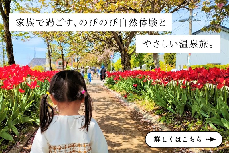 家族で過ごす、のびのび自然体験とやさしい温泉旅。