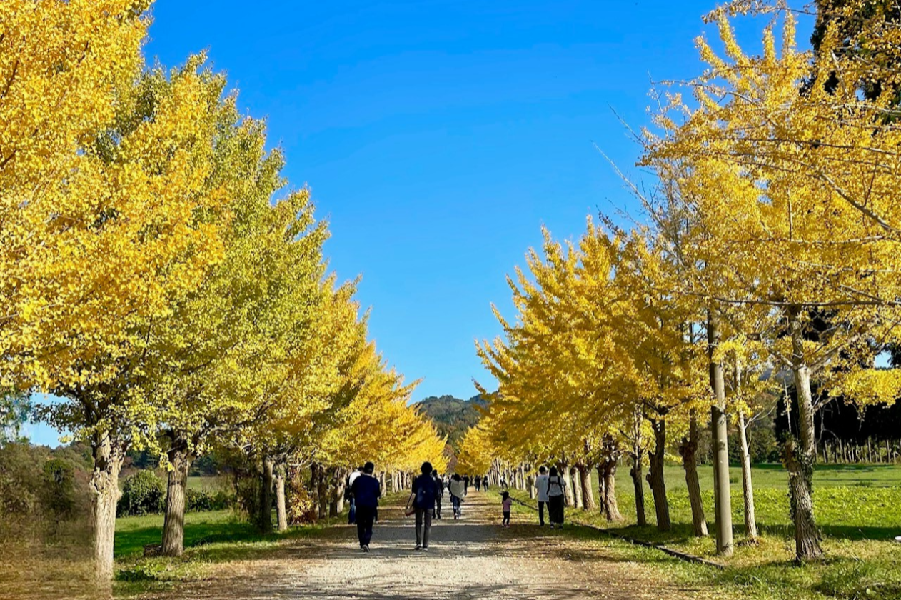 宝達志水町